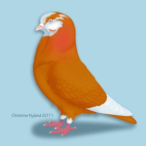 American Show Roller - Yellow