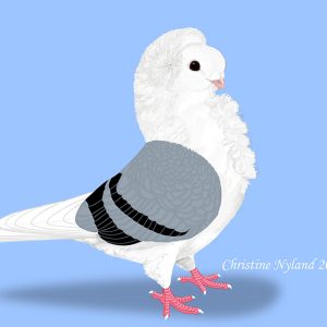 Old German Owl - 15 Different Colors!